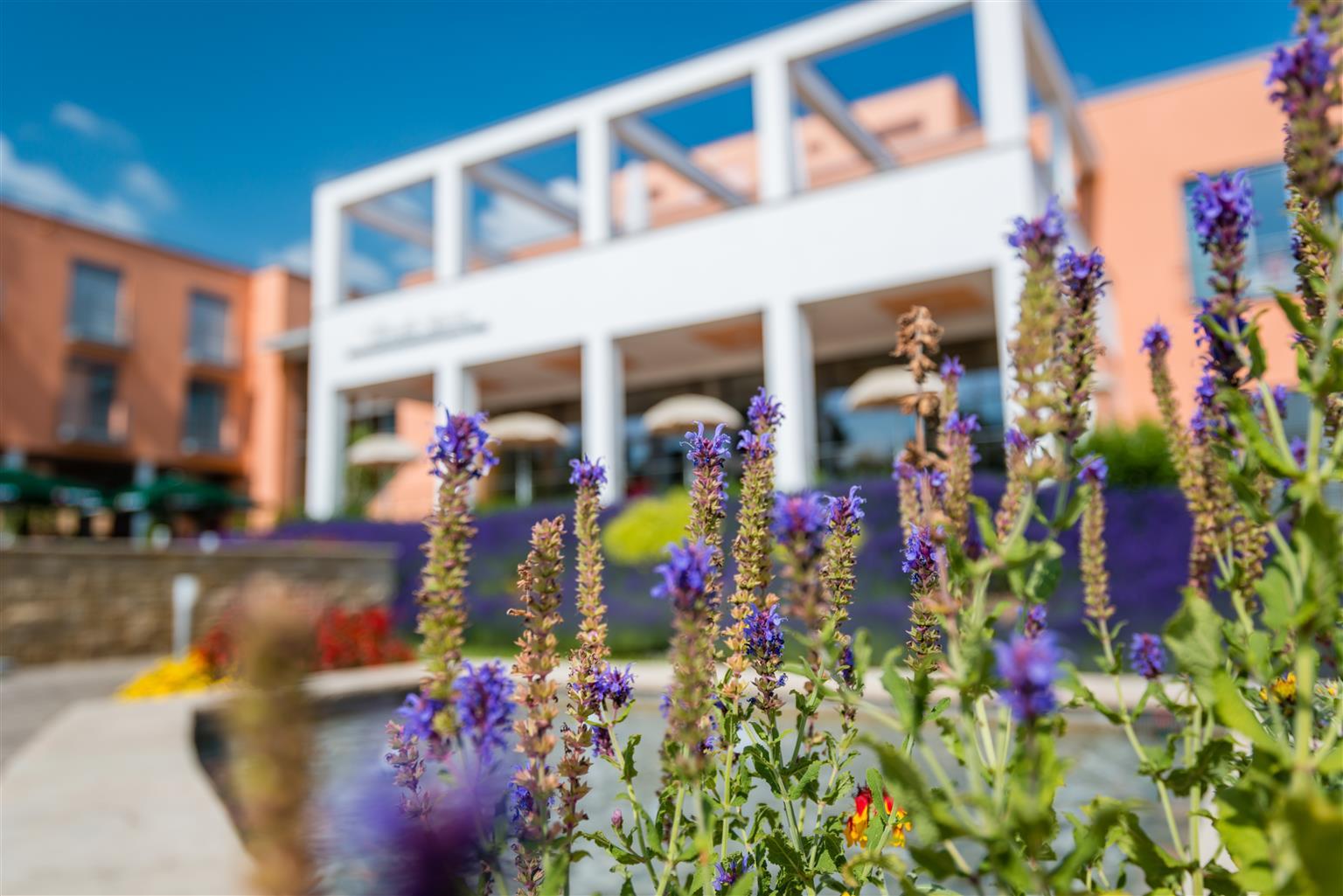 Hotel am Vitalpark Heiligenstadt Exterior foto